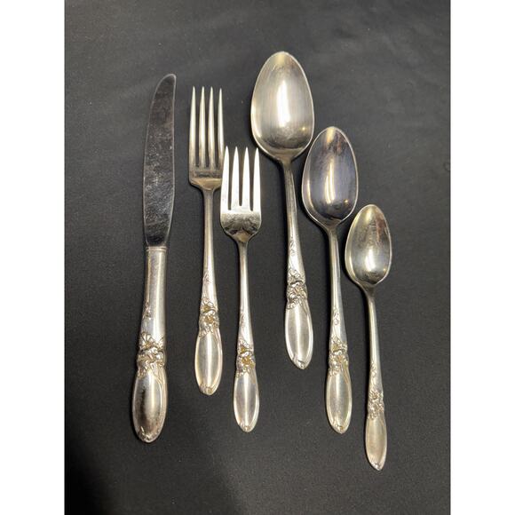 Vintage Silverplate Flatware Set – White Orchid – Discontinued - 46 pcs - Picture 1 of 16